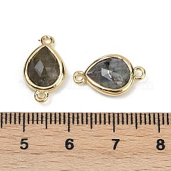 Natürliche Labradorit facettierte Verbindungsanhänger&nbsp;G-L514-048P-05