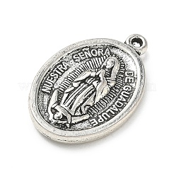 Aluminium Anhänger & Charms&nbsp;FIND-E051-01AS-07