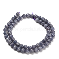 Naturperlen Stränge iolite&nbsp;G-C259-B06-6mm