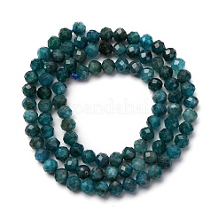 Natürliche Apatit Perlen Stränge&nbsp;G-A276-C08-4mm-02