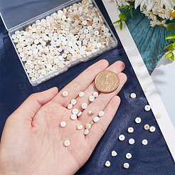 3 Strang natürliche Muschelperlenstränge&nbsp;SSHEL-NB0001-44A
