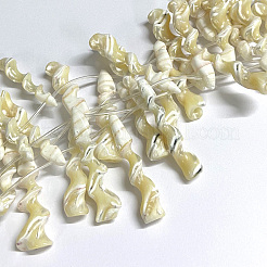 Fili di perle di conchiglia trochid naturale / trochus&nbsp;SSHEL-L016-15
