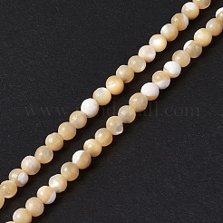 Fili di perle di conchiglia trochid naturale / trochus&nbsp;SSHEL-S266-023B-07