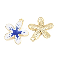 Pendentifs d'émail en alliage&nbsp;FIND-C095-06G