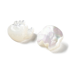 Natürliche weiße Schale&nbsp;SHEL-M020-03B