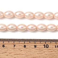 Perles de perles de coquille galvanoplastie&nbsp;BSHE-B008-07B