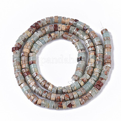 Chapelets de perles en jaspe aqua terra naturel&nbsp;G-S366-012A