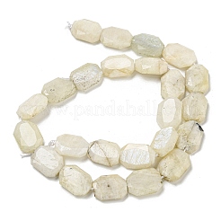 Fili di perline di pietra di luna arcobaleno naturale&nbsp;G-P544-B05-01