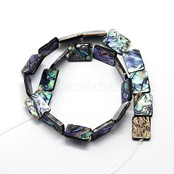 Natur Paua Muschel Perlen Stränge&nbsp;SSHEL-J047-10B-01