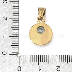 Ciondoli in strass in acciaio inossidabile 304&nbsp;STAS-A140-05B-G