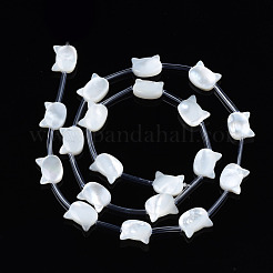 Cuentas de concha naturales blancos mechones&nbsp;SSHEL-S278-124A