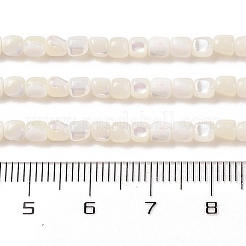 Natürliche Trochusmuschelperlenstränge&nbsp;SHEL-P017-04