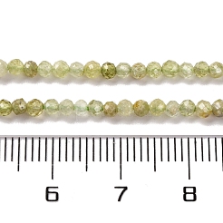 Naturelles grenat vert brins de perles&nbsp;G-A235-A02-01