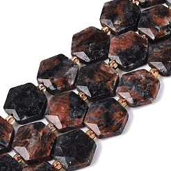 Perline labradorite naturale fili&nbsp;G-N368-01A-20