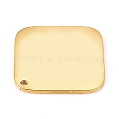 Colgantes de acero inoxidable 304&nbsp;STAS-L238-086-G