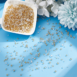 6 Stil&nbsp;SEED-HY0001-19