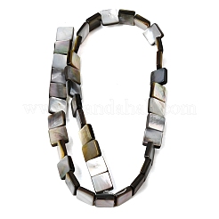 Naturel noir à lèvres shell perles brins&nbsp;SHEL-A006-09A