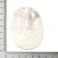 Natürlichen Süßwasser-Shell-große Anhänger&nbsp;SHEL-M021-06