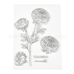 Timbri in silicone trasparente&nbsp;DIY-A013-25