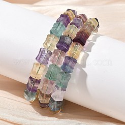 Bracelets de perles naturelles fluorite&nbsp;G-H332-12