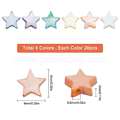 120 pieza de hebras de cuentas de concha de agua dulce de 6 colores&nbsp;SHEL-SC0001-14