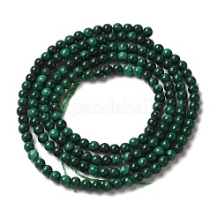Perline malachite naturali fili&nbsp;G-B090-A06-01