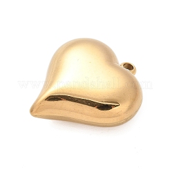 Anhänger aus Edelstahl 304&nbsp;LS-STAS-Q349-02E-G