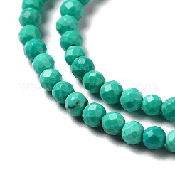 Fili di perline howlite naturale&nbsp;G-C025-02B-02