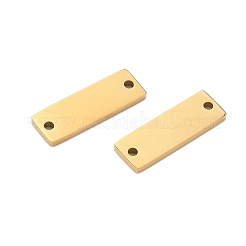 Breloques de connecteur en acier inoxydable 304&nbsp;STAS-B105-01G