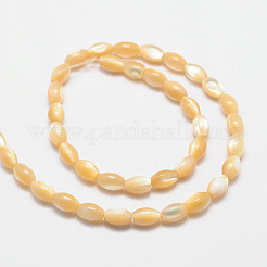 Fili di perline ovali conchiglia naturale&nbsp;X-SSHEL-M016-01B