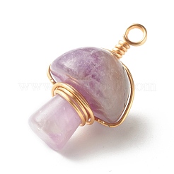 Natürlichen Amethyst Edelsteinanhänger&nbsp;PALLOY-JF01134-05