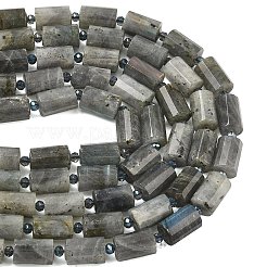 Natur Labradorit Perlen Stränge&nbsp;G-G453-E10-10x14mm