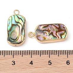 Natur Paua Muschel Anhänger&nbsp;SHEL-P017-22G