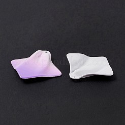 Farbverlauf sprühlackierte Legierungsanhänger&nbsp;LS-FIND-E026-03