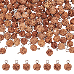 Arricraft 120pcs breloques de rudraksha naturels non teints, avec boucles en fer couleur platine, ronde, selle marron, 12~13x8mm, Trou: 1.5~2mm
