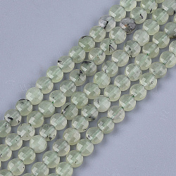 Chapelets de perles en préhnite naturelle, facette, plat rond, 6~6.5x3.5mm, Trou: 0.8mm, Environ 59~60 pcs/chapelet, 14.9 pouce ~ 15.1 pouces