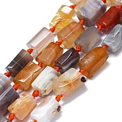 Natural Botswana Agate Beads Strands, Nuggets, 11~14x6~8mm, Hole: 0.9mm, about 28~32pcs/strand, 15.75''(40cm)