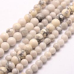 Natürliche Howlith Perlen Stränge, Runde, 6 mm, Bohrung: 1 mm, ca. 68 Stk. / Strang, 15.75 Zoll (40 cm)