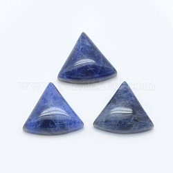 Natural Sodalite Cabochons, Triangle, 15.5x14x5mm
