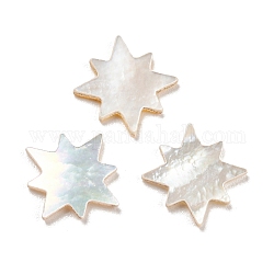 Cabujones naturales de la cáscara del mar, estrella, blanco, 9.5x9.5x1mm