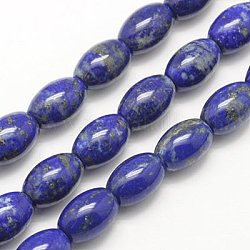 Natural Lapis Lazuli Bead  Strands, Grade AB, Rice, Midnight Blue, 15x10mm, Hole: 1mm