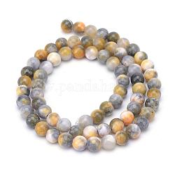 Chapelets de perle en pierre de jade blanc teinté naturel, ronde, verge d'or, 8mm, Trou: 1mm, Environ 50 pcs/chapelet, 15.7 pouce