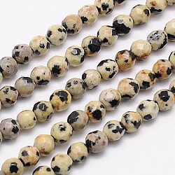 Chapelets de perles en jaspe de dalmation naturelle, facette, ronde, navajo blanc, 4mm, Trou: 1mm, Environ 90 pcs/chapelet, 15.35 pouce