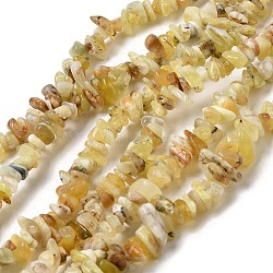 Brins de perles d'opale jaune naturelle, 5~13x5~13x5~8mm, Trou: 0.9mm, 31.50'' (80 cm)