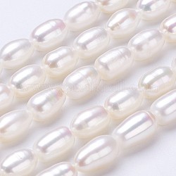 Fili di perle di perle d'acqua dolce coltivate naturali, riso, colore conchiglia, 8~10x6~7mm, Foro: 0.5 mm, circa 35~40pcs/filo, 14 pollice
