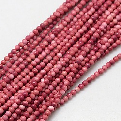 Synthetic Fossil  Round Beads Strands, Dyed & Heated, FireBrick, 3mm, Hole: 1mm, about 133pcs/strand, 15.74inch