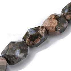 Hebras de perlas de glaucophane natural, facetados, pepitas, 16~17x11~13x11~13mm, agujero: 1.5 mm, aproximamente 13 pcs / cadena, 8.46~8.58 pulgada (21.5~21.8 cm)