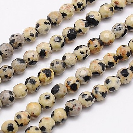 Natur Dalmatiner Jaspis Perlen Stränge G-G545-11-1