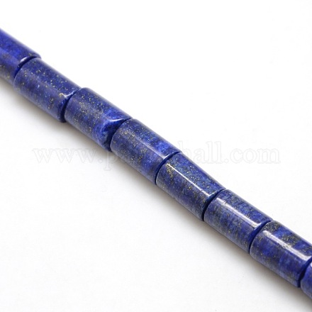 Natural Lapis Lazuli Column Beads Strands G-L168-03-1
