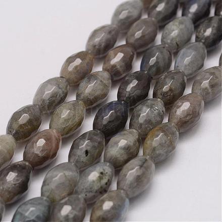 Natural Labradorite Beads Strands G-G970-24-1